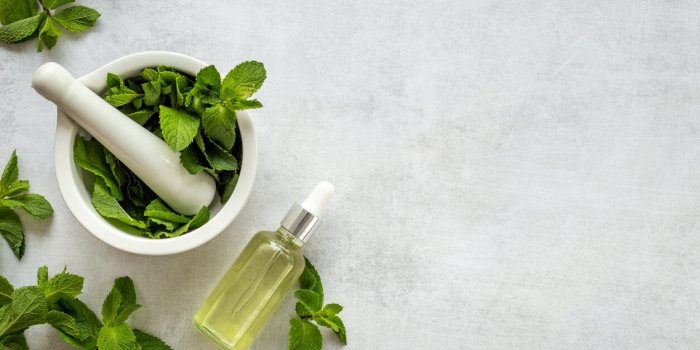 Les 7 bienfaits sante de la menthe