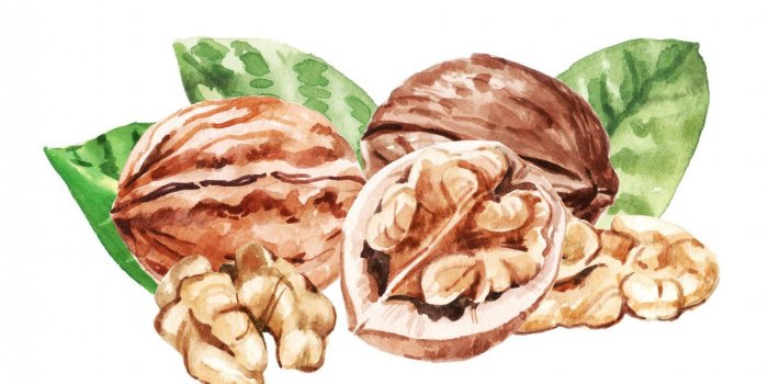 Arthrose : 9 aliments riches en omega 3 qui protegent les articulations