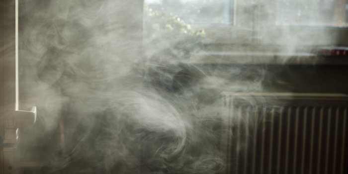 Maison : 7 choses a faire pour ameliorer la qualite de l-air chez soi