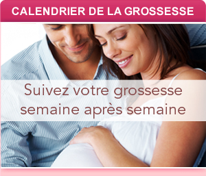Calendrier de la grossesse